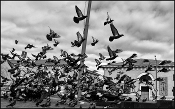 ..... "Набрать высоту" ..... / концептуальный этюд