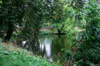 Лефортовские пруды / Лефортовский парк в Москве. Сентябрь 2024.