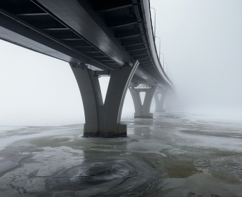 мосты / туман