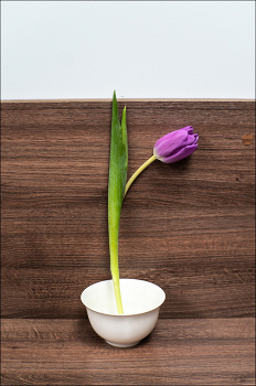 опоздал / ***