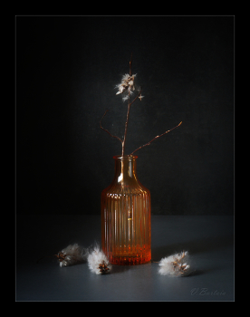 Пузырёк поздней осени / Не сохранить надолго осень позднюю...