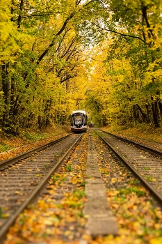 Осенний трамвай / ***