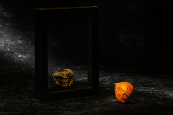 Этюд с физалисом ХI / 2026