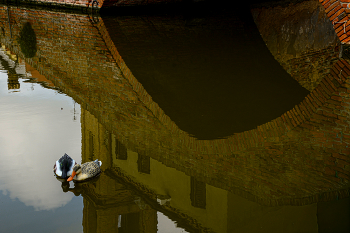 Отражения театрального моста / Комаккьо