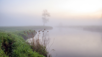 &nbsp; / Летние туманы