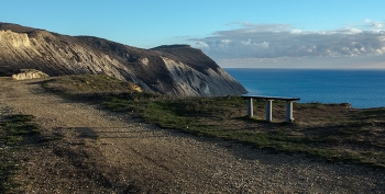Весенний день / ***