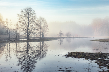Предвкушение / Мечтаем о весне