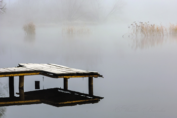 Уединение / Утро с туманом