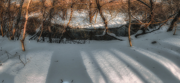 Излучина. / Парк природного заказника реки Сетунь.