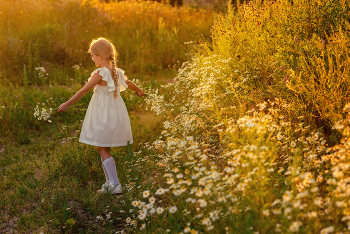 Юля в поле с ромашками / модель Юля Подгорнова