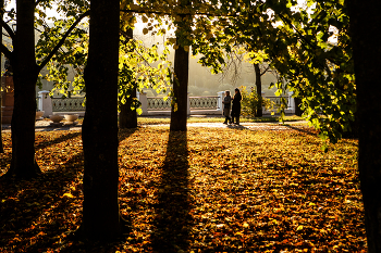 Вечерний парк / Прогулка в парке на закате