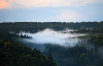 после дождя / 18 августа 2025 года, Пермь