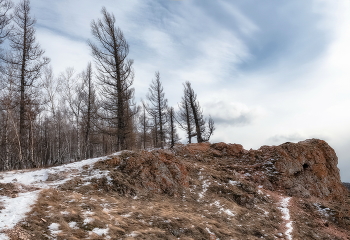 Подвластны ветру / ***