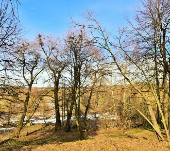 "Весна, весна! Как воздух чист, как ясен небосклон ..." / "Весна, весна! Как воздух чист!
 Как ясен небосклон!
 Своей лазурию живой
 Слепит мне очи он ..."
 Е.Баратынский