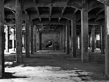 Паутина. / ***