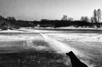 Пейзажизнь / ***