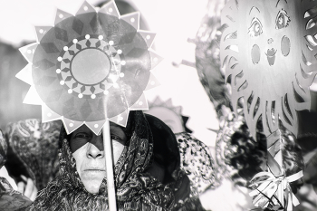 Выглянуло срлнышко / ***