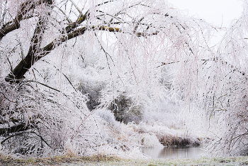 В ледяных оковах / ***