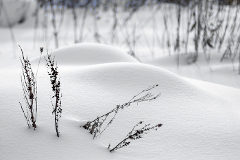 "НЮпроходимые места" / Прогулка