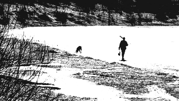 Пейзажизнь / ***