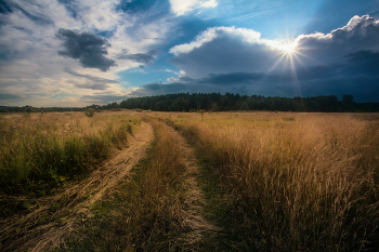 &nbsp; / Август. Мордовия.
