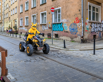 Кто-то очень странный... / Польша, Вроцлав