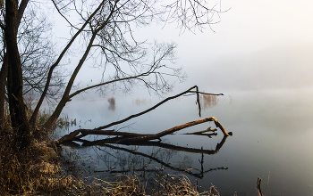 ...над водой склонённая... / Утренний туман