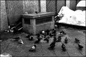 ..... Бытие ... / уличный сюжет