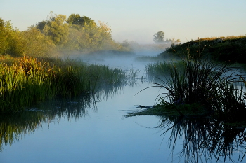Утро на речке. / Речка Шлюзовая.