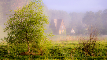 &nbsp; / Летние туманы