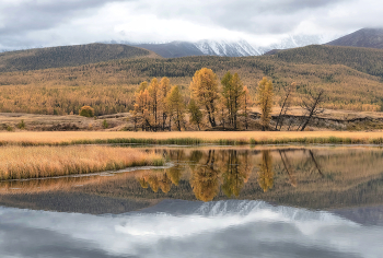 Джангысколь / ***
