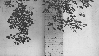 дерефце / без обр.