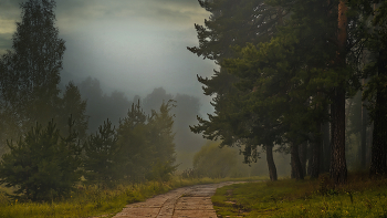 Бродит по лесу туман. / ***