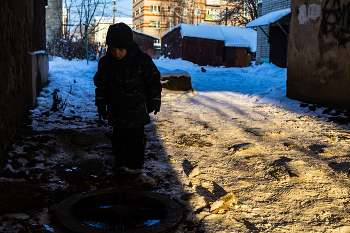 Безмятежный кот / ...