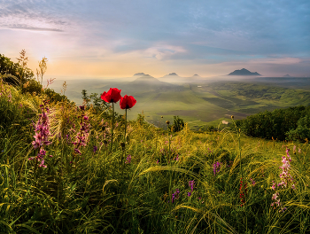 Запах весны / Майский рассвет на Кавминводах. 
Из фотопроекта «Открывая Ставрополье».