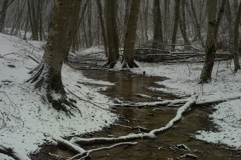 Ручей в лесу / Зима