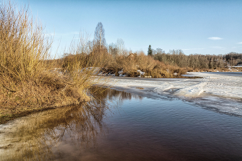 Жизнь вокруг / ***