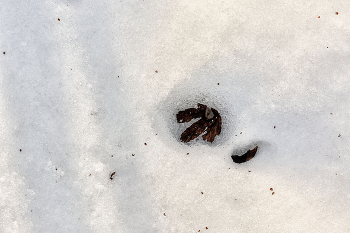 Пейзажизнь / ***