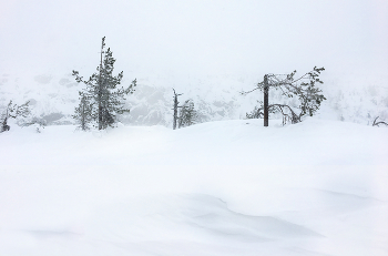 &nbsp; / Однажды в марте...