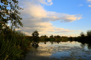 Озеро Омут. / ***