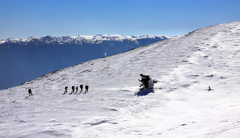 На верхнем плато Чатыр-Дага / Крым, Чатыр-Даг, зима