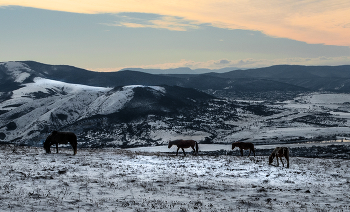 Эимний этюд / Крым