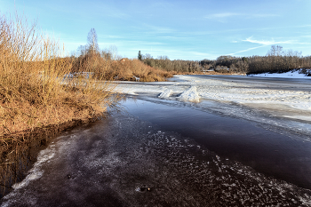 Жизнь вокруг / ***