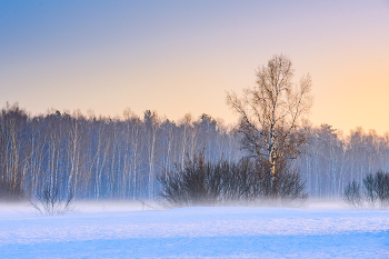 Утро марта. / Мартовские зарисовки