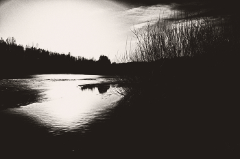 Пейзажизнь / ***