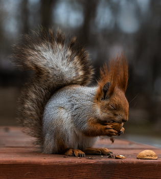 Наслаждение / ***