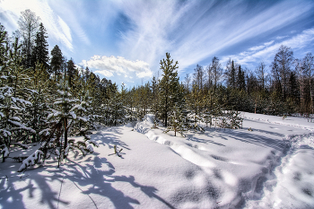 Весеннее небо / ***