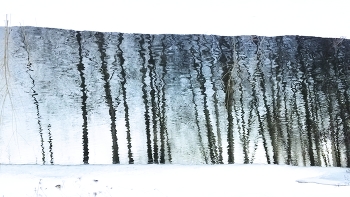 утром +2 / запахло мелом на асфальте
фрегат пиратский сел на риф
так далеко
что без сапог непромокаемых
не дотянутся, даже палкой
сырое в воздухе зависло
машины грязью обдают
друг друга
и дворники стирают всё из-под колёс
со стёкол лобовых
мороз притих
весна
разводит в краску окись хрома
готовит кистью набросать
избавить белый холст
от графики
январ-февральского наброска
броско
тёплым
музыку включить
собрать из птиц вернувшихся
джаз-банд
играть экспромт
опять
который нам возможно
только наблюдать...