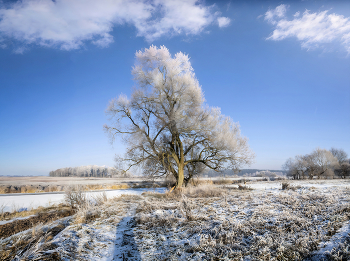 Про день на Свислочи / Снято зимой. Беларусь. Река Свислочь. Панорама