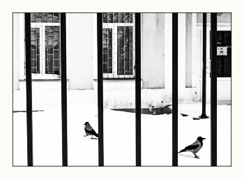 Изоляция / Наказание